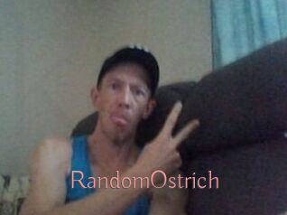 RandomOstrich Kostenlose Sexcams