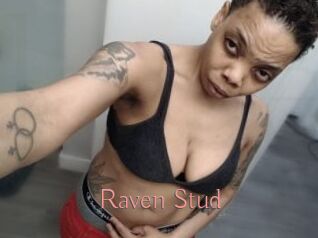 Raven_Stud