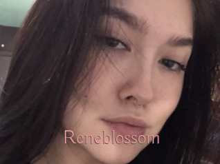 reneblossom Kostenlose Sexcams