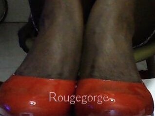 Rougegorge