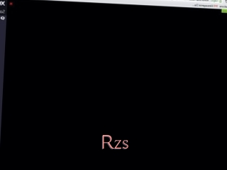 Rzs