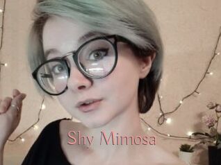 Shy_Mimosa