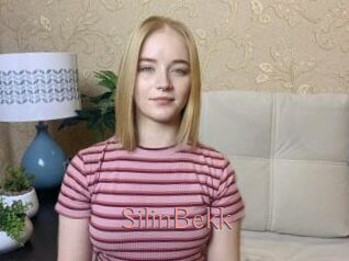 SilinBekk