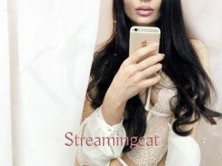 Streamingcat