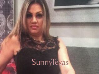 SunnyTexas