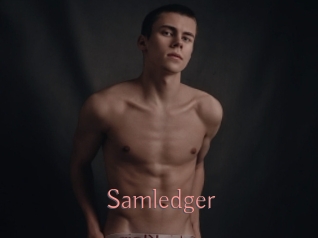 Samledger