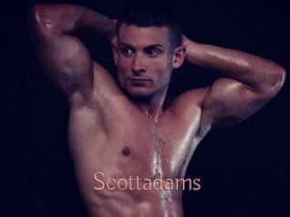 Scottadams