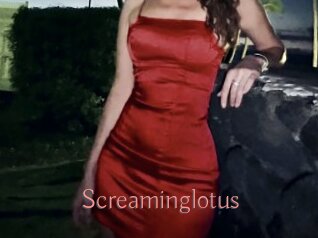 Screaminglotus