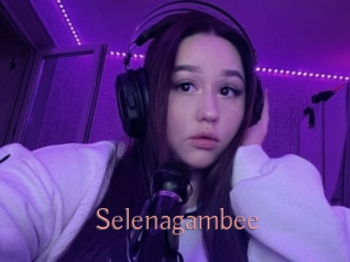 Selenagambee