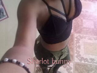 Sharlot_bunny