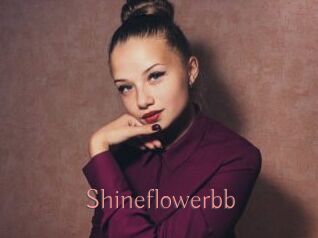 Shineflowerbb