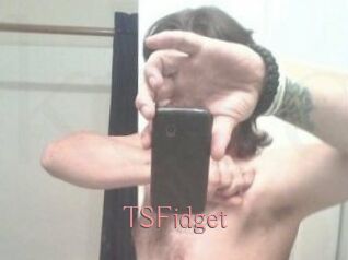 TSFidget