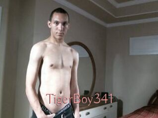 TigerBoy341
