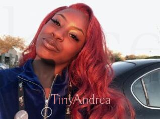 TinyAndrea