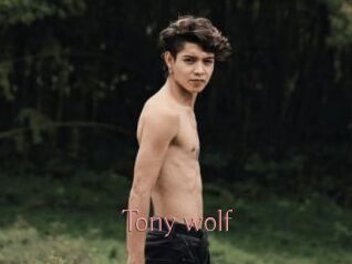 Tony_wolf