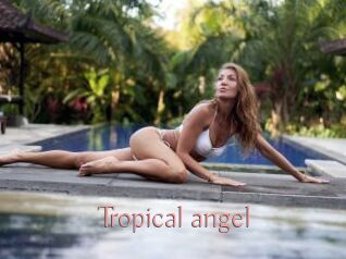 Tropical_angel