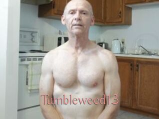 Tumbleweed13