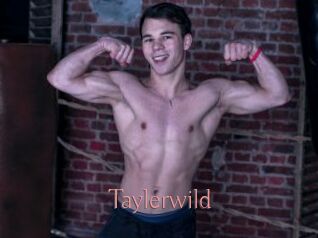 Taylerwild