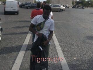 Tigrenegro