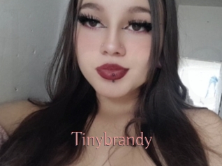 Tinybrandy