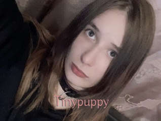 Tinypuppy