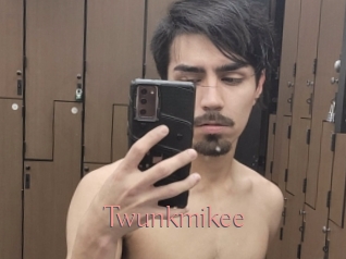 Twunkmikee