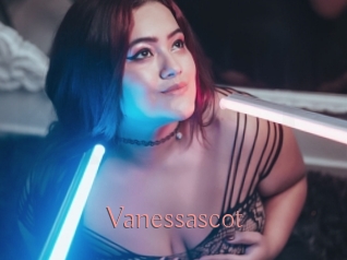 vanessascot Kostenlose Sexcams