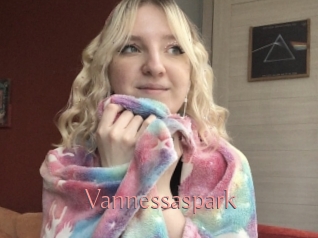 Vannessaspark