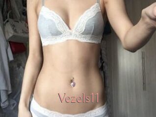 Vezels11