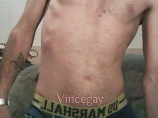 Vincegay