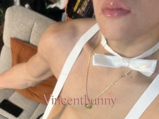 Vincentbunny