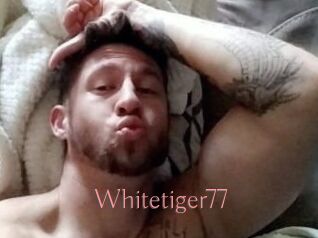 Whitetiger77